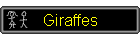 Giraffes