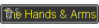 The Hands & Arms
