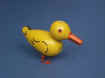Duck.jpg (48602 bytes)